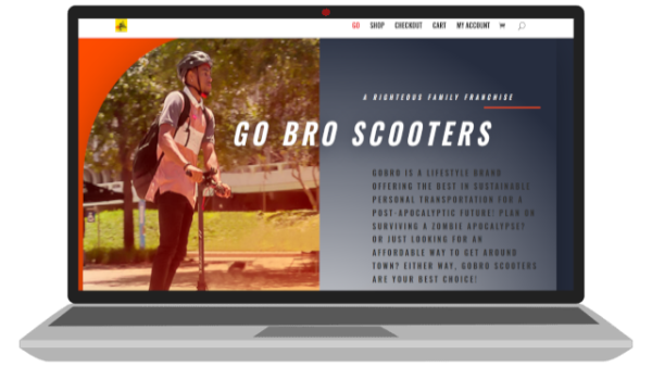 GOBROSCOOTERS.COM